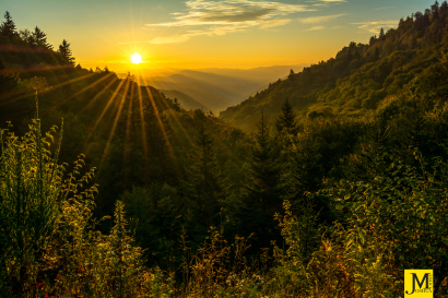 Sunrise from Newfound Gap