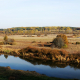 Autumn landscape