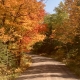 Tunnel of Beauty