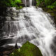 Grassy Creek Falls  