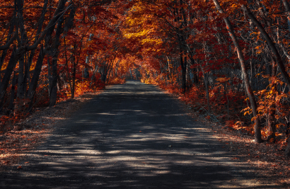 Lady Autumn