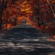 Lady Autumn