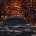 lady-autumn