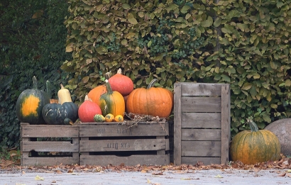 Autumn gifts.