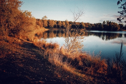 Autumn reflection