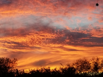 Orange sunset