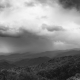 Storm on the Horizon...