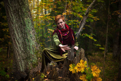 Magic gusli of the autumn fore...