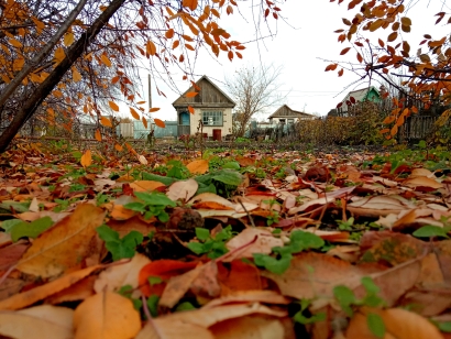 Autumn