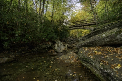 Boone Fork