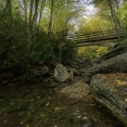 boone-fork