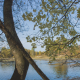 Autumn lake 