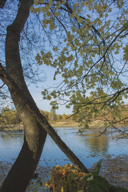 Autumn lake