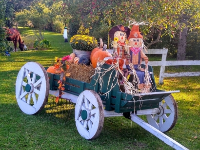 Fall is in the air!!