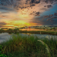 towards-horizen