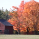 Barnside Fall in the Adirondacks