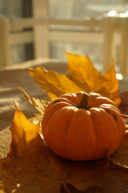 Pumpkin of my life
