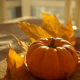 Pumpkin of my life