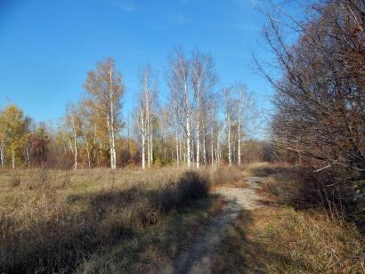 Donetsk