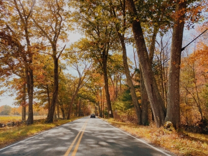 Autumn Avenue