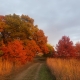 Fall walk