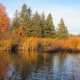 Beavers ready for winter