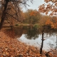 2020fallcontest