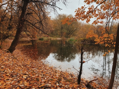 2020fallcontest