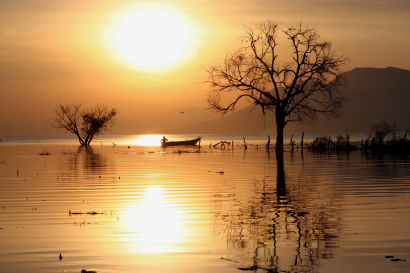 SUNRISE 1