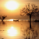 SUNRISE 1