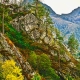 Autumn scenery ...
