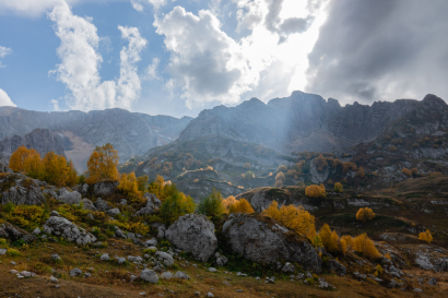 Autumn