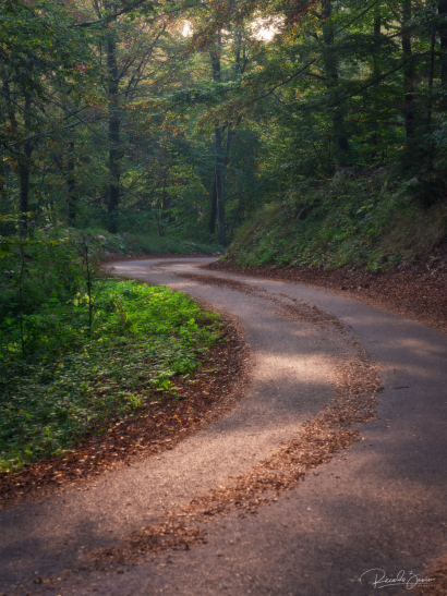 Magic road