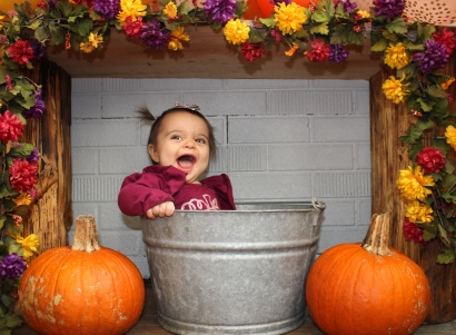 Little Pumpkin