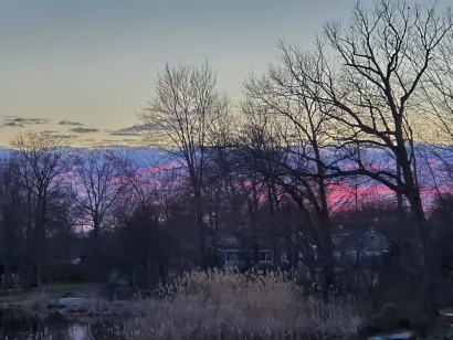 Colours of nature