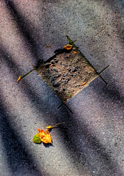 Autumn minimalism