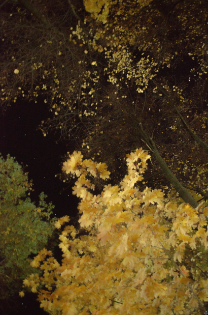 Space autumn