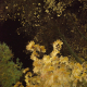 Space autumn