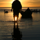 SUNRISE 3