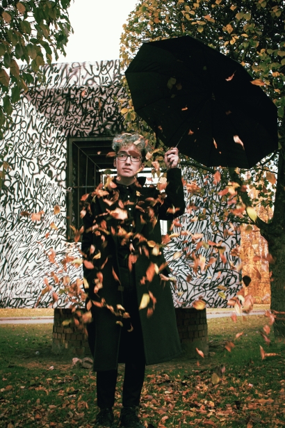 Falling leaves