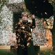 Falling leaves