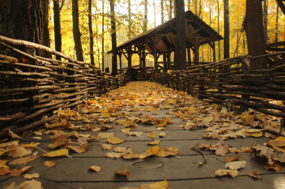 Autumn Road