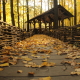 Autumn Road