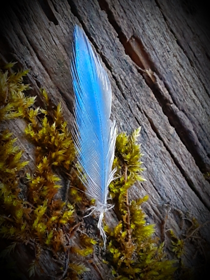 A gift from above