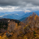 2020fallcontest