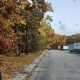 Leaves falling 