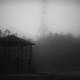 The 5th Antenna