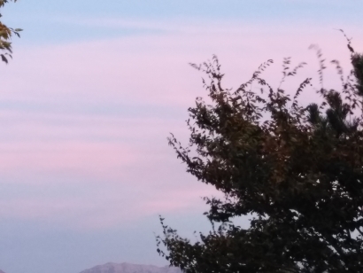 Pinkish hue