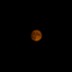 Harvest Moon