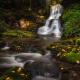 Gage Falls